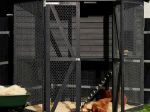 Bild von Plus Hühnerhaus Hasenhaus Premium 6-eckig 240 x 240 x 270 cm schwarz